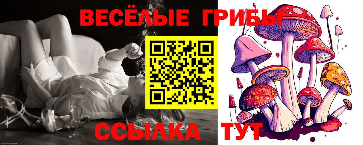 Галлюциногенные грибы GOLDEN TEACHER  Вход с VPN  Луга 
